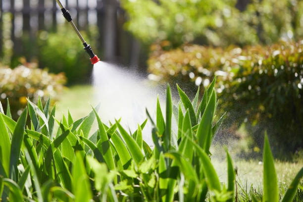 24/7 Emergency Wasp Removal experts in Lily Lake, IL