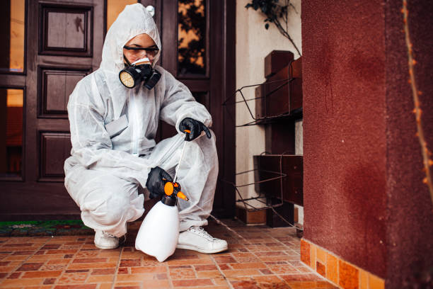 Reliable Wasp Removal contractor in Lily Lake, IL by Show Me Pest Control